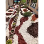 Scoarta decorativa (Maro),60 L pentru 1 metru patrat